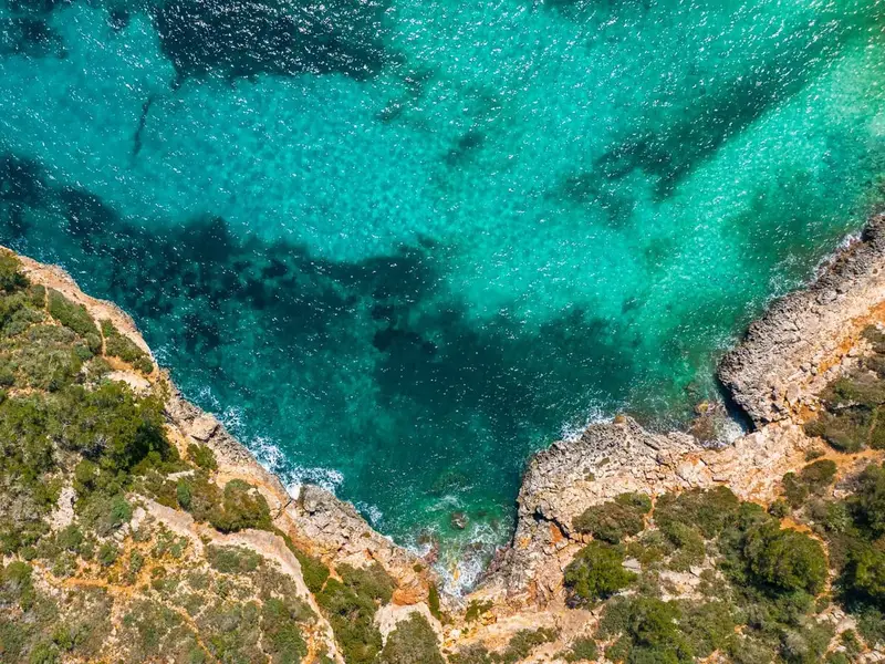 Rejse til Palma de Mallorca, Spanien