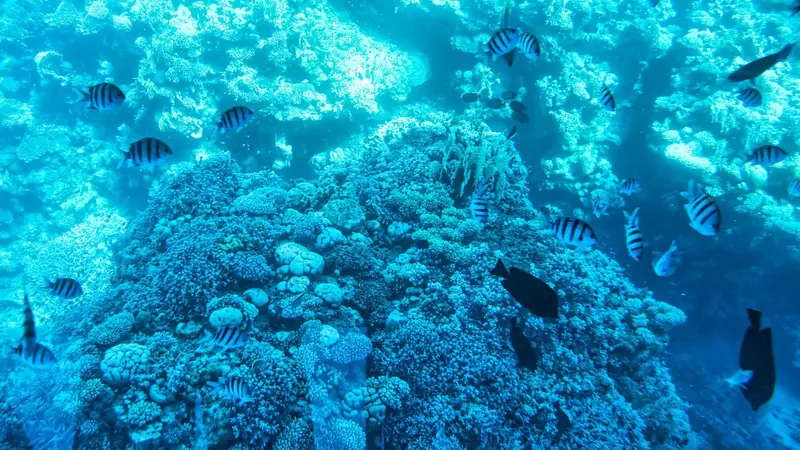 Sharm el-Sheikh, Egypten