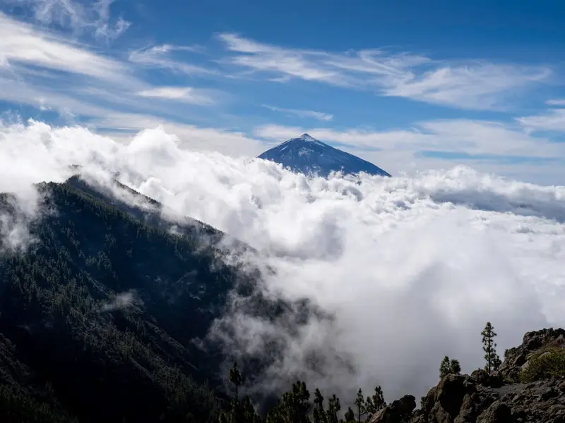 Rejse til Tenerife, Spanien