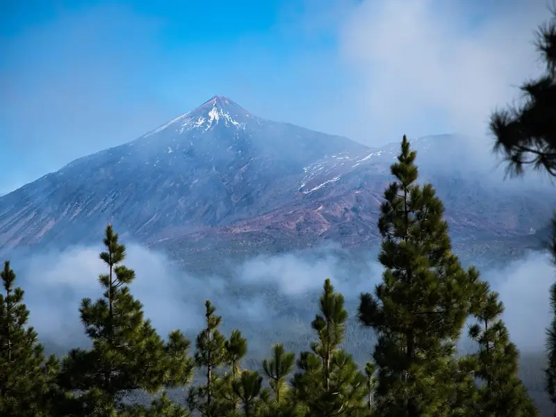 Rejse til Tenerife, Spanien